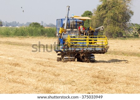 Machine Harvest in Rice fields