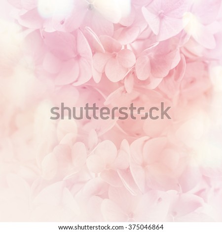 colorful flowers in soft color and blur style for background 