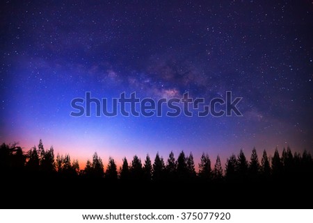 Beautiful milky way and silhouette of pine tree on a night sky before sunrise
