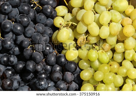 Photo closeup full of clean organic natural ripe raw white and black grapes full of vitamin for healthy eating nutrition crops fruity berries for sale on sunlight background, horizontal picture