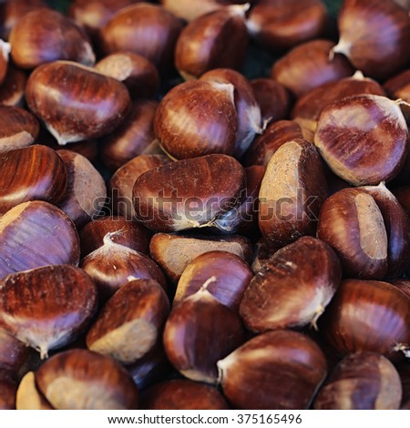 Photo closeup of many fresh tasty ripe sweet chestnut brown husks fruit edible seeds nuts full of vitamin for healthy eating for sale on natural background, square picture
