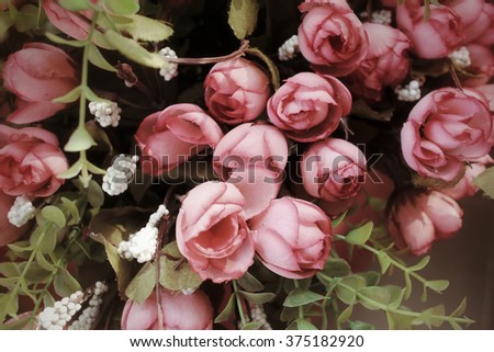 Vintage roses flowers