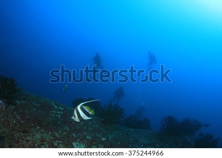 Tropical fish and scuba divers