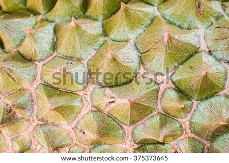 Texture Background of Durian shell with High Resolution