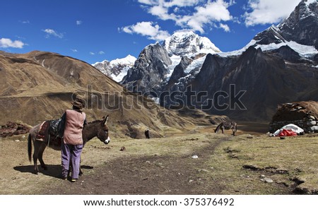 native with his mule in front of the mountains