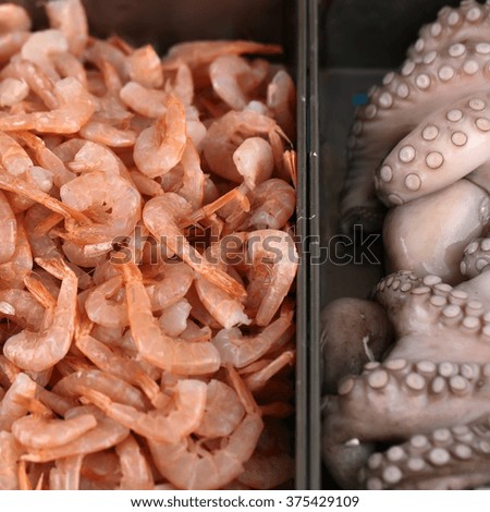 Photo closeup of natural fresh edible raw shrimps and cephalopods seafood marine animals displayed for sale on metal background, square picture 