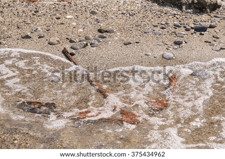 Rusty anchor on a seashore
