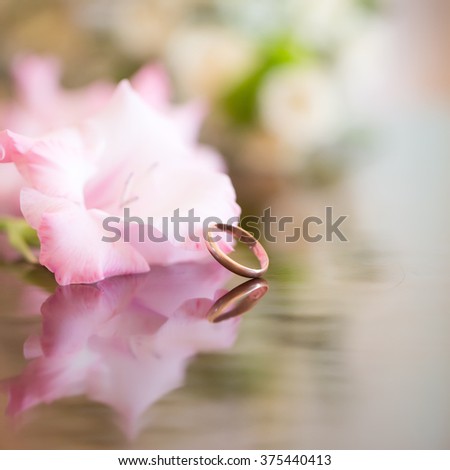 Beautiful light pink flower of gladiolus with pretty round wedding golding ring jewel for bride with reflection on grassy surface on bright blur background closeup studio, square picture