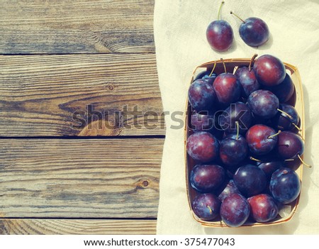 Fresh juicy plums in a wooden basket. Crop of plums
