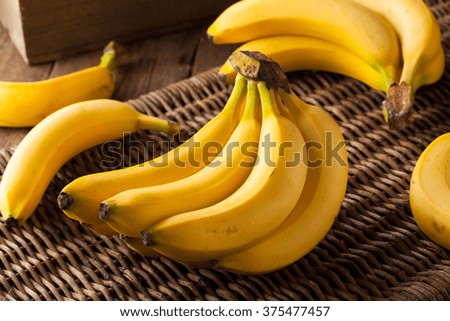 Raw Organic Bunch of Bananas Ready to Eat Royalty-Free Stock Photo #375477457