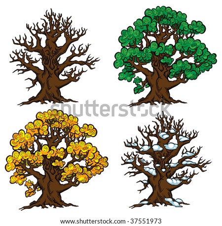 Old tree- four Seasons. Vector illustration.