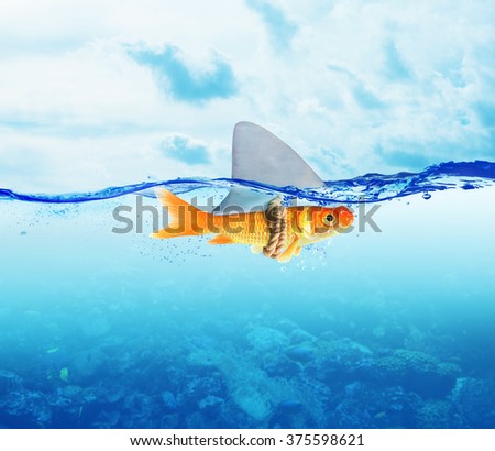 Red Fish  as shark Royalty-Free Stock Photo #375598621