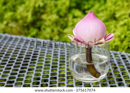 cut pink lotus flower deco zen style on steel net table