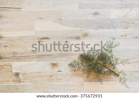 fresh branch of dill weed on a old oak tree table