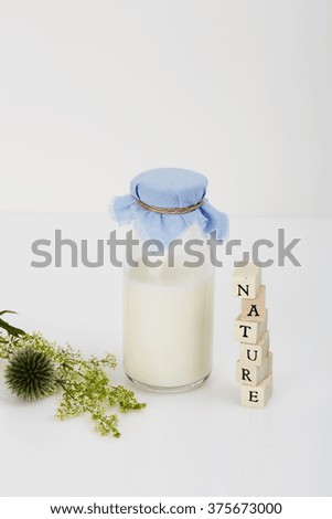 Bottle of milk, plant and blocks, studio