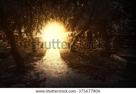 Light at the and of tunnel.Ancient cemetery around 