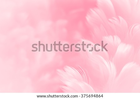 Fluffy cherry blossom pink feather fashion design background - Happy Valentine fuzzy textured soft focused photograph - Fashion Color Trends Spring Summer 2016 Royalty-Free Stock Photo #375694864