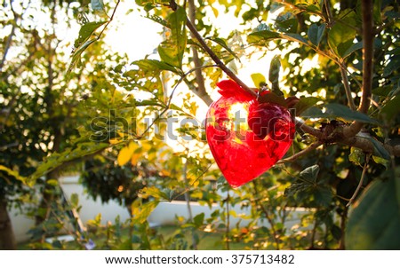 Red heart hanging on tree  ,in sunset.