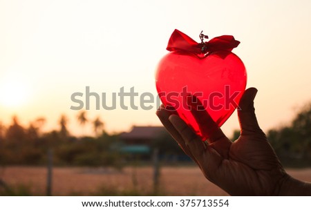 hands holding Red heart  ,in sunset.