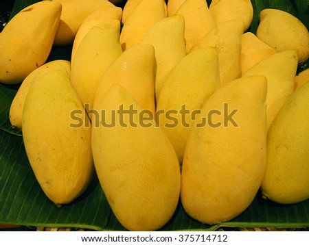 golden ripe mangoes