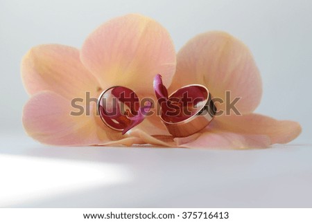 Pair of beautiful wedding golden shiny rings gold metal jewel laying in gorgeous tender pink orchids flowers marry decoration traditional accessory closeup studio on white background, horizontal photo