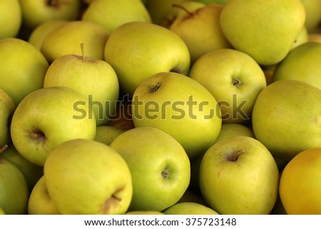 Photo closeup many clean organic fresh tasty ripe yellow apples crop fruit full of vitamin for healthy eating diet ball form for sale on natural background, horizontal picture