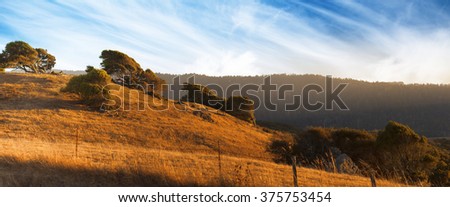 Beautiful panorama landscape of a windy hill. Yellow field of countryside with blue sky in summer, California, USA, America