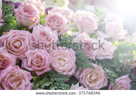 A bouquet of beautiful roses with a light beam.