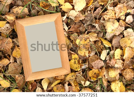 blank wooden frame on natural foliage background