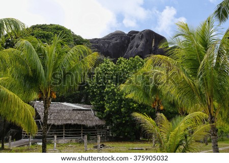 Beautiful palmtrees with granite mountains in Union Estate, La Digue, Seychelles islands