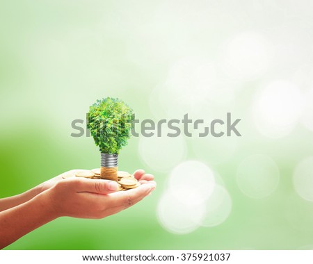 Go green concept: Human hands holding light bulb of growth tree on golden coins over blurred nature background Royalty-Free Stock Photo #375921037