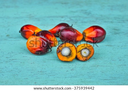 Close up of palm oil seeds, selective focus.  