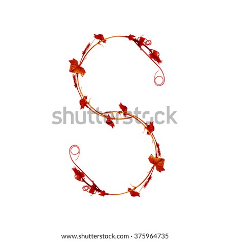 Number and English alphabet from Fresh red leafs of young plant on white background