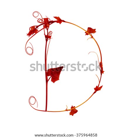 Number and English alphabet from Fresh red leafs of young plant on white background