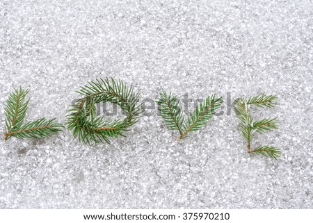 Word love written with small fir tree branches on icy surface