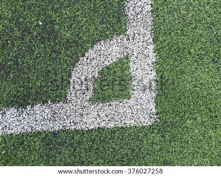 White line on a grass field background