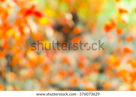 natural bright abstraction, soft background blur