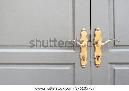 Vintage brass knob on the painted door.