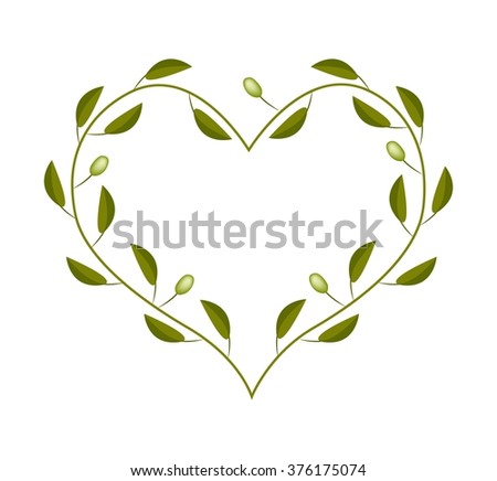 Love Concept, Illustration of Green Olives Leaves and Fruits Forming in Heart 
Shape Frame Isolated on White Background.