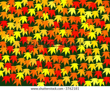 Background vector design of Japanese maple leaves in fall