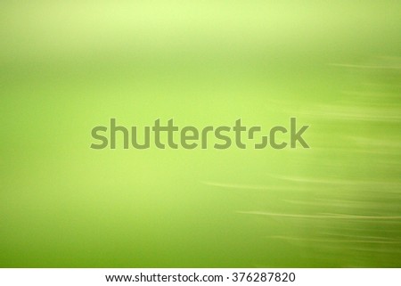 the texture of green blur and soft outdoor for background