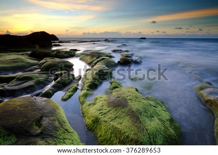 Amazing of green moss on unique rock. 