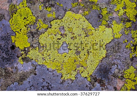 map from mould on a stone
