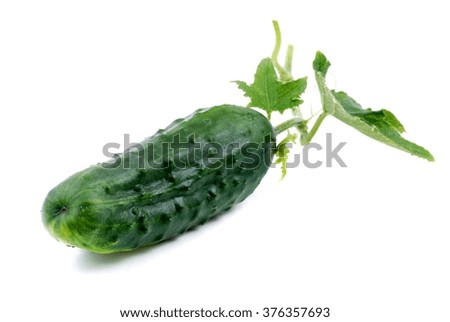 Cucumber on white background.  Healthy fresh vegetables.