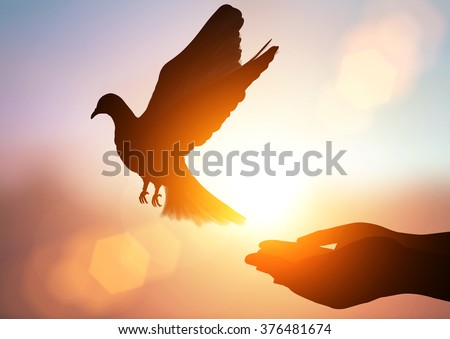 silhouette pigeon flying out of two hand and freedom concept  and international day of peace 2017 Royalty-Free Stock Photo #376481674