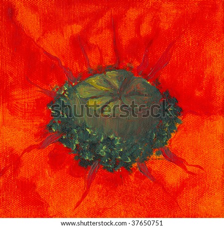 red poppy closeup - oil on canvas