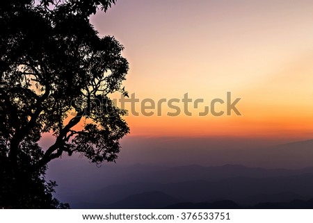 Trees silhouetted and skyline after sunset
