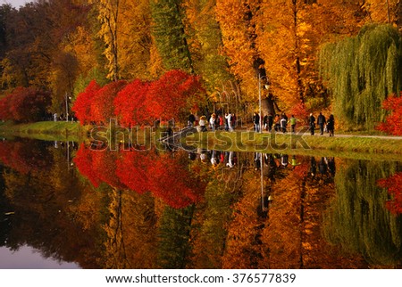 Beautiful autumn park with trees and a lake