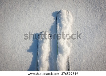 Color picture of skis in powder