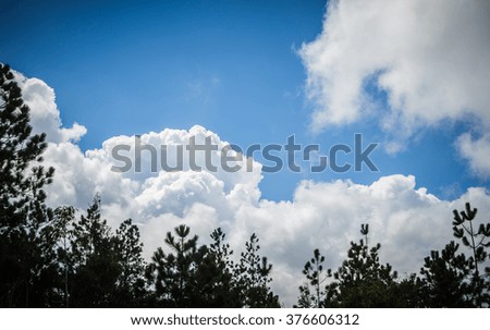 Beautiful sky and Cloud at Phu kradueng national park in thailand, Landscape photo